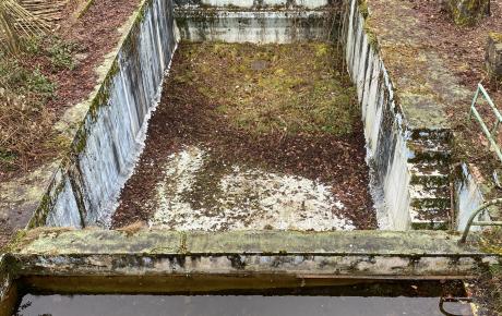renovation piscine